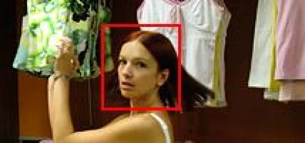 Automatische Gesichtserkennung in Head-Tracking Systemen