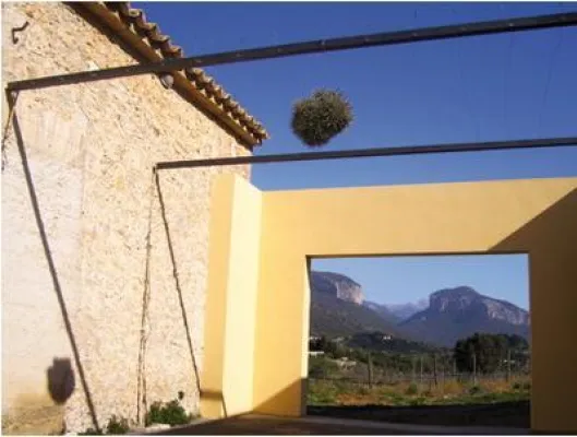 Bild: Bodega Vinyes d´Alaro - Mit Chardonnay zur Spitze