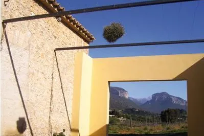 Bodega Vinyes d´Alaro - Mit Chardonnay zur Spitze Bild: Bodega Vinyes d´Alaro - Mit Chardonnay zur Spitze