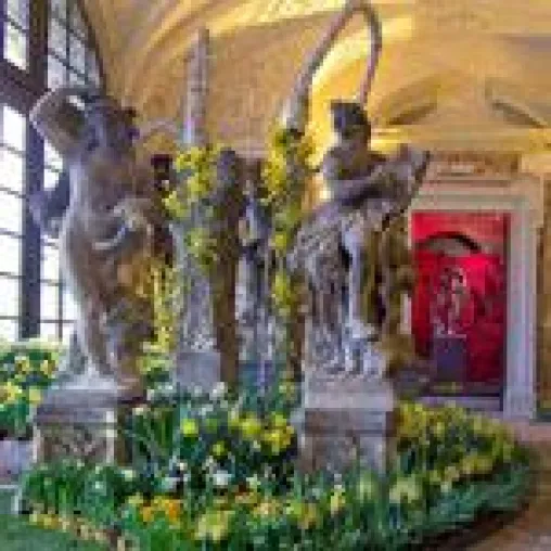 Bild: Aufruf zum Wettbewerb: Frühlingsgedichte für Dresdner Frühling im Palais gesucht