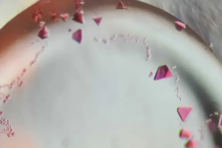 Bild: Eisenbindende „Protein-Rubine“ beim mikrobiellen Methan-Abbau 