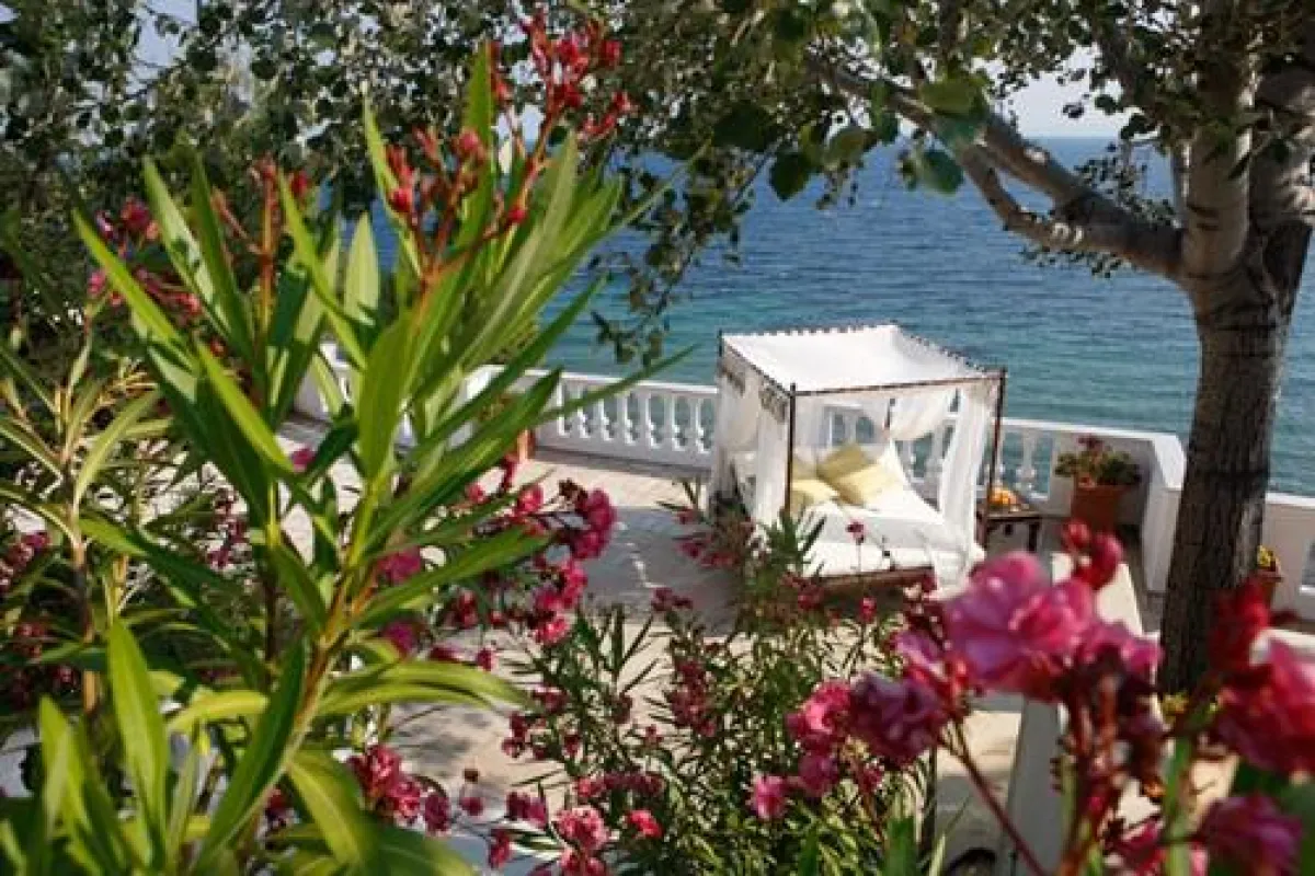 Frühlingserwachen im Danai Beach Resort & Villas