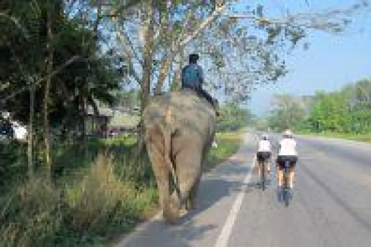 Bild: Vom Nationalpark über Kambodscha nach Koh Chang: Aufregende Radfernfahrt durch Zentral-Thailand