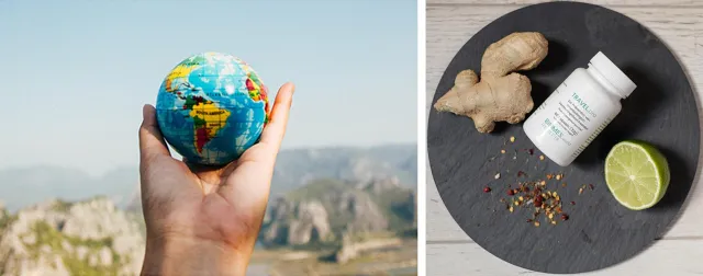 Bild: Gesund und fit im Urlaub: Wissenschaftsbasierte Prävention von Reisekrankheiten