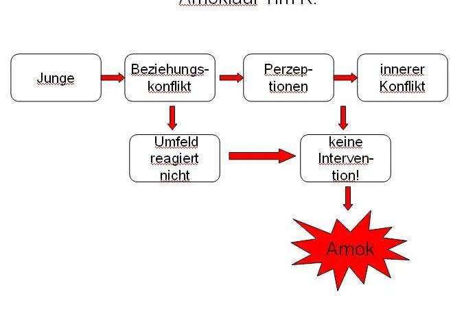 Der Amoklauf von Tim K. in Winnenden - Analysiert aus anderer Perspektive Bild: Der Amoklauf von Tim K. in Winnenden - Analysiert aus anderer Perspektive