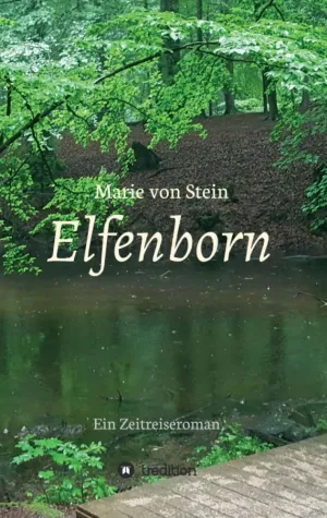 Elfenborn - Ein Zeitreiseroman Bild: Elfenborn - Ein Zeitreiseroman