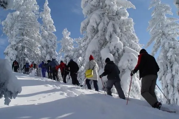 Bild: Outdoor-Teambuilding im Winter - Lappland-Abenteuer mitten in Bayern