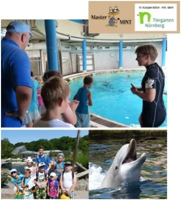 Bild: Übernachten zwischen Delfinen und Seekühen im Tiergarten Nürnberg – Kinderexkursion – Jetzt anmelden!