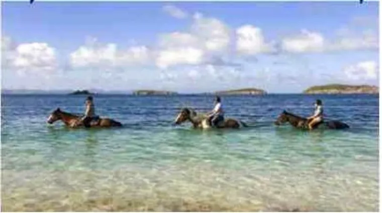 Bild: Reitcamp auf Mustique