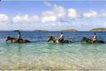 Reitcamp auf Mustique Bild: Reitcamp auf Mustique