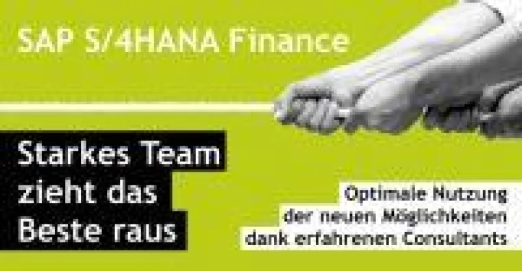 Bild: So machen Sie Ihr Finanzmanagement fit: starkes SAP S/4HANA FINANCE Team von oneresource ag