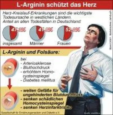 Bild: Eiweißbaustein L-Arginin hilft bei gestörter Gefäßfunktion