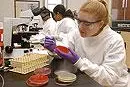 Bild: Fachtagung: Die Harmonisierung von EP, USP und JP - Konsequenzen für die mikrobiologische Qualitätskontrolle