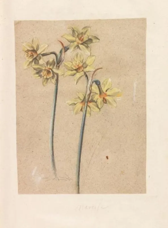Nr. 24: Fleurs du Printtemps et de l'Este Manuskript-Florilegium. Anf. 17. Jh. Erlös Euro 70.000*.