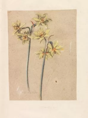 Barockes Florilegium erzielt Top-Erlös Bild: Barockes Florilegium erzielt Top-Erlös