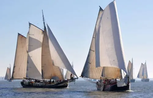 Bild: Segeltörns in Holland - Segeltörns auf der Ostsee