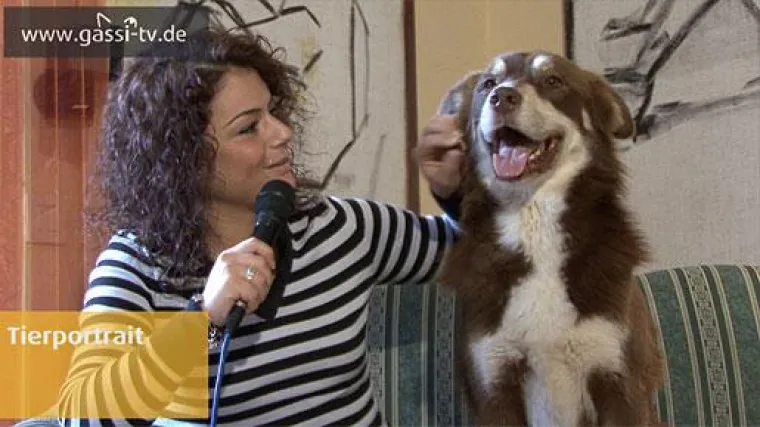 Bild: Deutschlands süßester Hund im Tierportrait