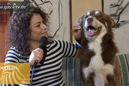 Deutschlands süßester Hund im Tierportrait Bild: Deutschlands süßester Hund im Tierportrait
