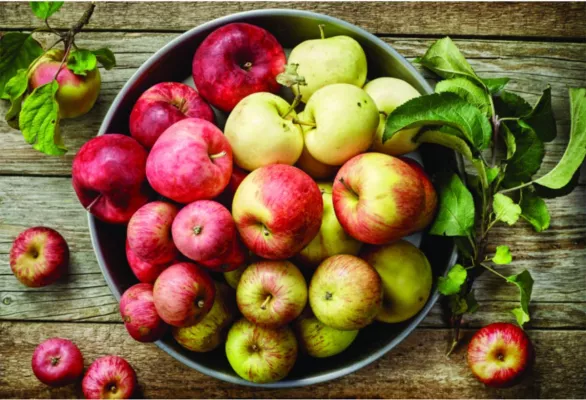 Bild: Gemeinschaftsprojekt "Apfelernte"