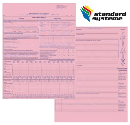 Bild: Standard Systeme Innovationen - Das Initiale Schmerzassessment