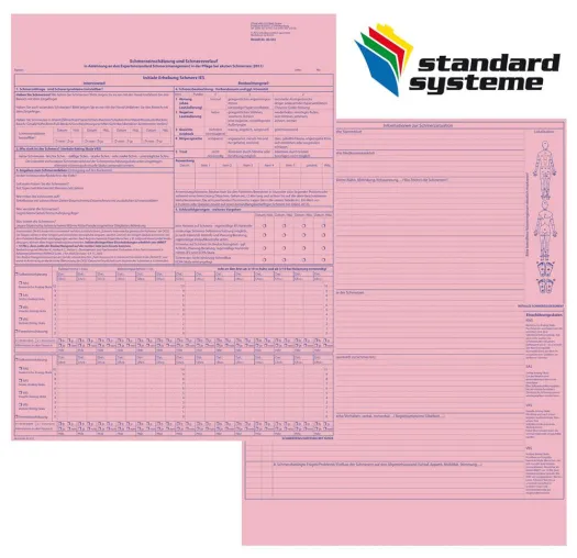 Bild: Standard Systeme Innovationen - Das Initiale Schmerzassessment