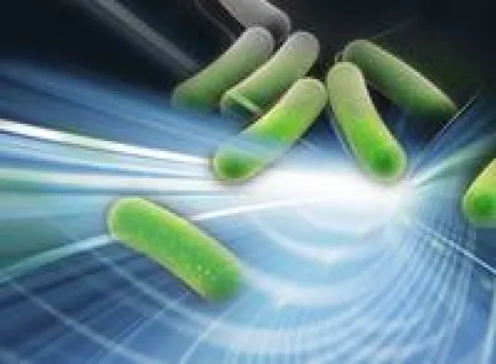 Bild: vermicon AG: ScanVIT-Legionella in Studie als bessere Alternative zum konventionellen Verfahren bestätigt