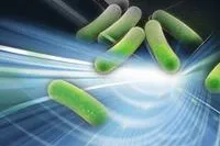 Bild: vermicon AG: ScanVIT-Legionella in Studie als bessere Alternative zum konventionellen Verfahren bestätigt