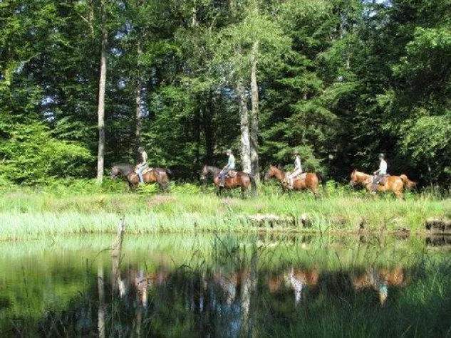 Bild: Eine Reittour durch das Gebiet der 1000 Seen im Elsass