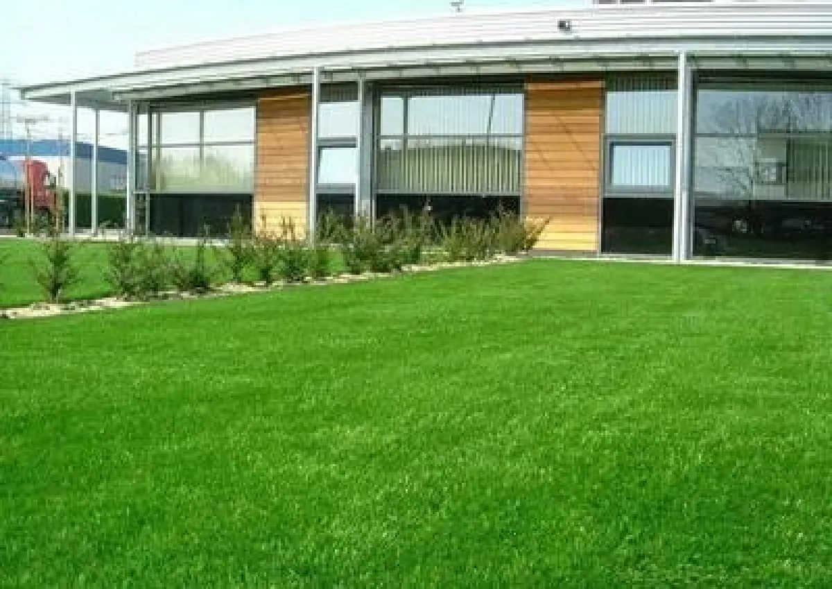 Kunstrasen und Rollrasen sind Alternativen für Sportrasen und Golfrasen