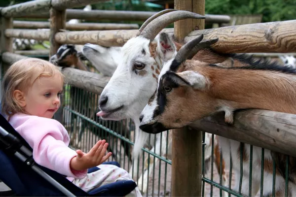 Bild: Kinderwagenwochen im Erlebnispark Schloss Thurn