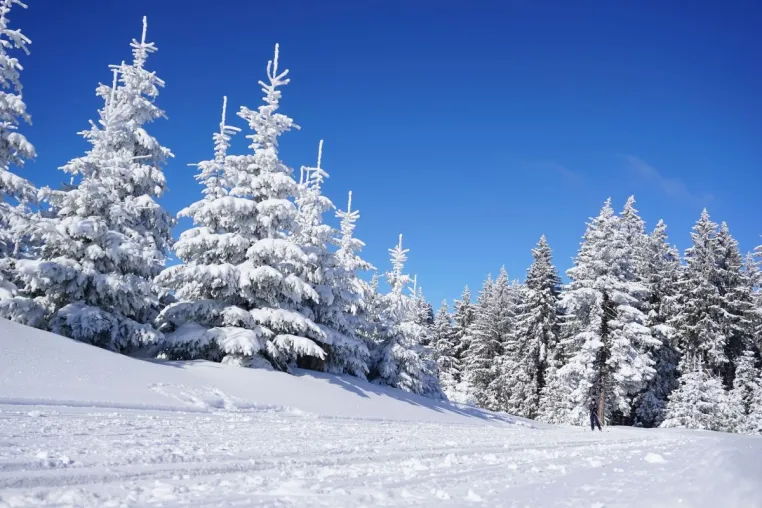 Hotel Sportalmmm: Direkt an der Piste für ein unvergleichliches Skivergnügen in Zauchensee Bild: Hotel Sportalmmm: Direkt an der Piste für ein unvergleichliches Skivergnügen in Zauchensee