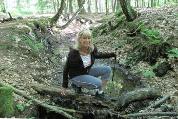 Durch Feld und Dämmerwald Bild: Durch Feld und Dämmerwald