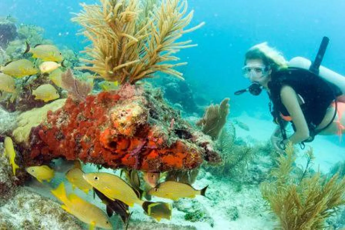 Bildrechte: © Florida Keys News Bureau