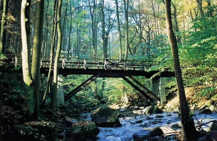 Bild: Westerwald-Steig eröffnet mit buntem Programm am 24. und 25. Mai 2008