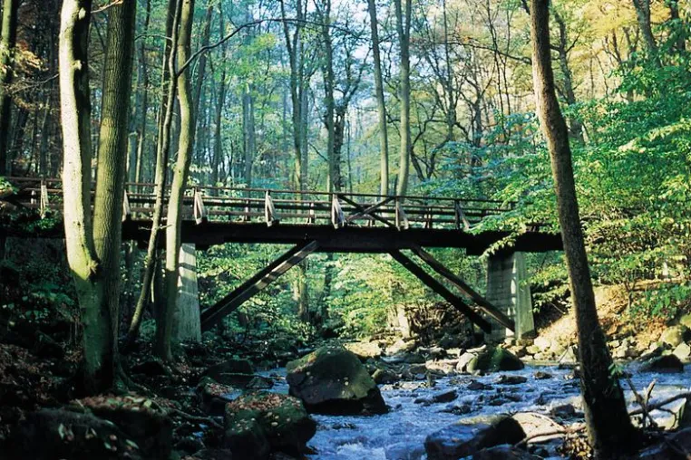 Bild: Westerwald-Steig eröffnet mit buntem Programm am 24. und 25. Mai 2008