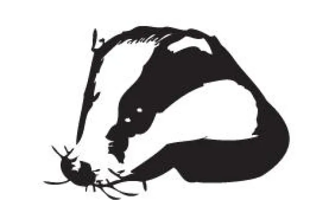 Bild: Abmahn-Tsunami überrollt Shop-Betreiber - Order Online USA auf „Kundenfang“