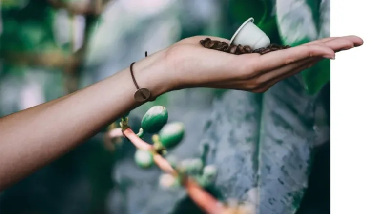 Bild: Bio-Kaffee-Genuss in der Probierbox