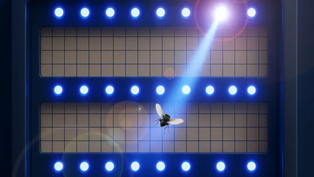 LED-Technologie revolutioniert UV-Insektenfallen: Effizienter, sicherer und nachhaltiger denn je Bild: LED-Technologie revolutioniert UV-Insektenfallen: Effizienter, sicherer und nachhaltiger denn je