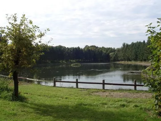 Bild: See zu verkaufen und andere außergewöhnliche Immobilien