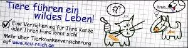 Bild: Bevor der Tierarzt teuer wird – Tierkrankenversicherung hilft