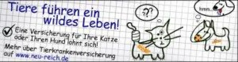 Bevor der Tierarzt teuer wird – Tierkrankenversicherung hilft Bild: Bevor der Tierarzt teuer wird – Tierkrankenversicherung hilft