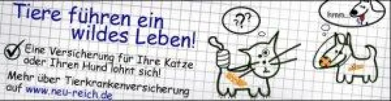 Bevor der Tierarzt teuer wird – Tierkrankenversicherung hilft Bild: Bevor der Tierarzt teuer wird – Tierkrankenversicherung hilft