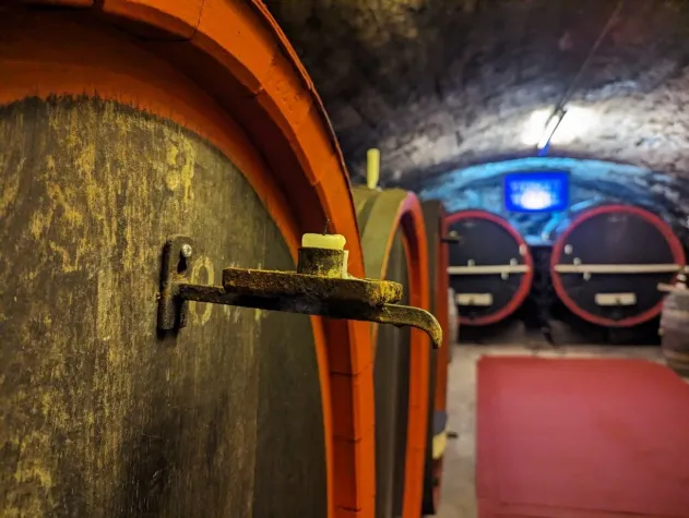 Bild: HOLY HOLY UNDERGROUND odder Heilisch Heilisch Unnedrunner