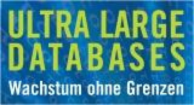 Bild: Konferenz - Weichenstellung für Ultra Large Databases, ULDB 2008