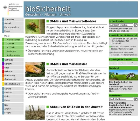 Bild: Bt-Mais: "Es handelt sich um ein geprüft sicheres Produkt" - Kontroverse um Bewertung von Forschungsergebnissen - Interview mit Bundesamt für Verbraucherschutz und Lebensmittelsicherheit auf bioSicher
