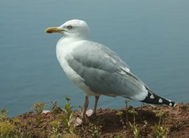 Bild: Den Herbst genießen – an der Nordsee