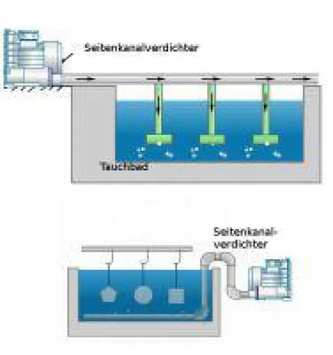 Seitenkanalverdichter halten Flüssigkeiten in Aquakulturen und Tauchbädern in Bewegung Bild: Seitenkanalverdichter halten Flüssigkeiten in Aquakulturen und Tauchbädern in Bewegung
