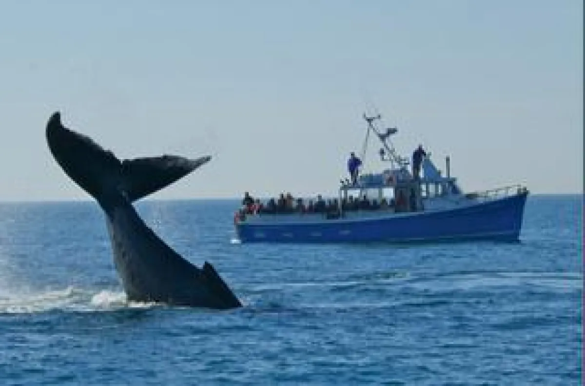 Tourism Nova Scotia