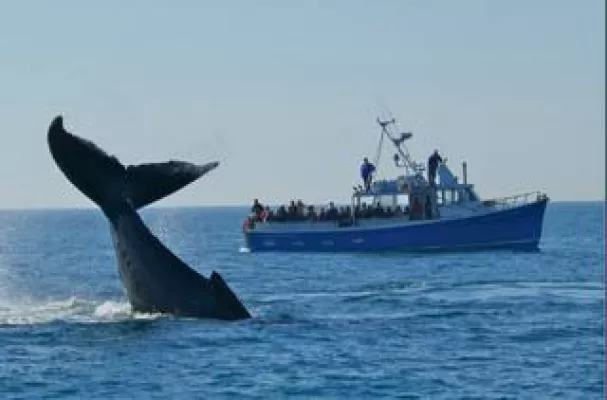 Bild: Kanada-Tag in Bonn: Atlantik-Kanada und der Westen