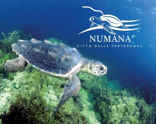 Bild: Numana – die Stadt der Schildkröten